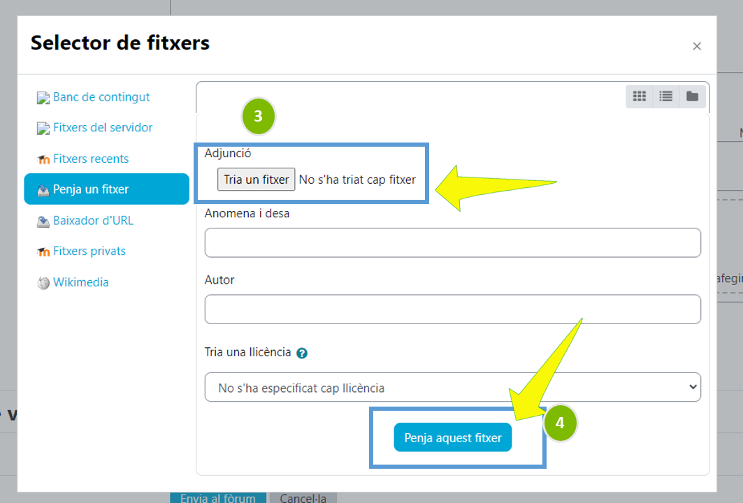 Tasca Selector fitxer