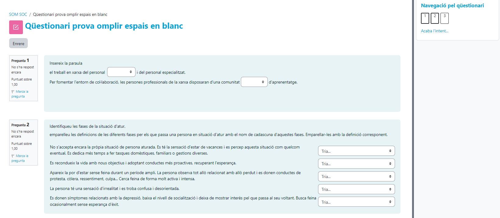 Qûestionari Preguntes i navegació